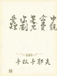 爱你是命中注定短剧免费观看