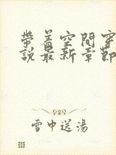 带着空间穿越小说最新章节