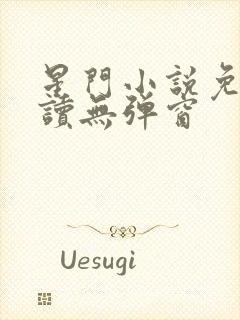 星门小说免费阅读无弹窗