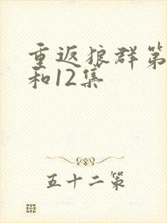 重返狼群第11和12集