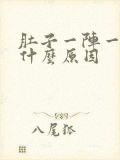 肚子一阵一阵痛什么原因封面