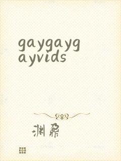 gaygaygayvids封面