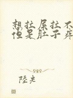 想拉屎拉不出来但是肚子疼怎么回事