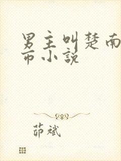 男主叫楚南的都市小说