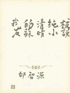 我的清纯校花女友苏晴小说最新章节