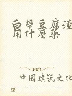 白带豆腐渣一般用什么药