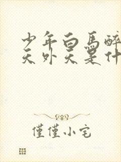 少年白马醉春风天外天是什么地方