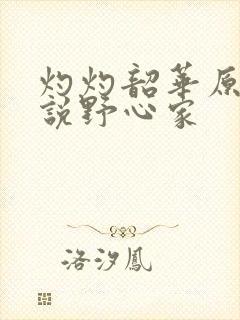 灼灼韶华原著小说野心家封面