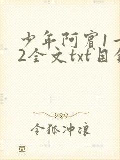 少年阿宾1一72全文txt目录