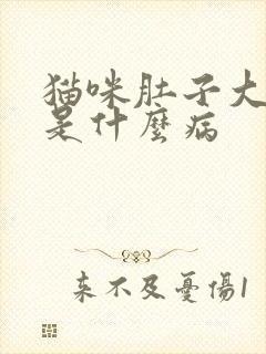 猫咪肚子大尿黄是什么病