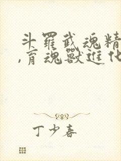 斗罗武魂精灵球,育魂兽进化