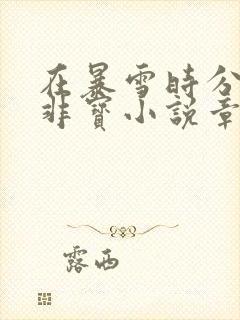 在暴雪时分墨宝非宝小说章节目录