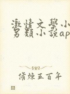 激情文学小说区另类小说app