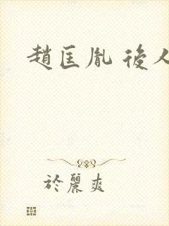 赵匡胤 后人封面