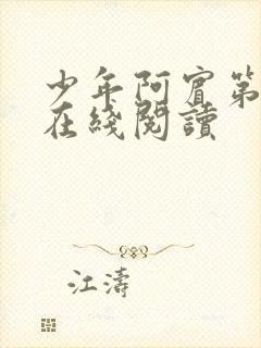 少年阿宾第一章在线阅读