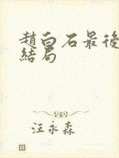 赵白石最后的大结局