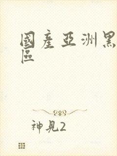 国产亚洲黑丝一区