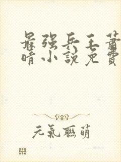 最强兵王萧晨苏晴小说免费阅读