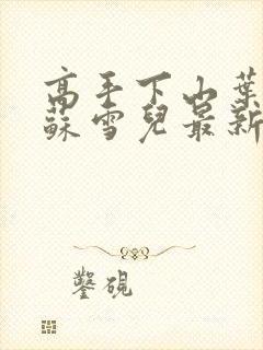 高手下山叶君临苏雪儿最新章节