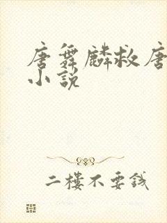 唐舞麟救唐晨的小说