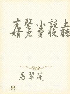 有声小说上门龙婿免费收听