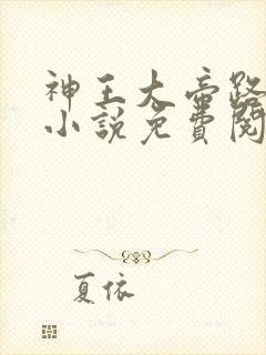 神王大帝路一平小说免费阅读全文