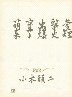 萌宝出击爹地我来了爆火短剧