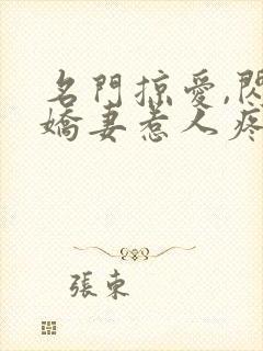 名门掠爱,闪婚娇妻惹人疼全文免费阅读