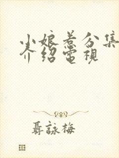 小娘惹分集剧情介绍电视