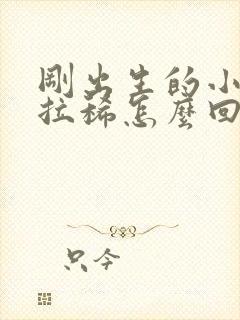 刚出生的小奶狗拉稀怎么回事