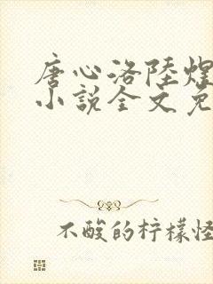 唐心洛陆煜宸的小说全文免费阅读