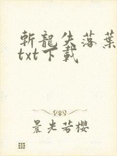 斩龙失落叶全本txt下载