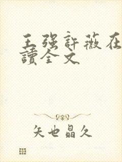 王强许薇在线阅读全文