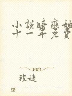 小说暗恋她的第十一年免费