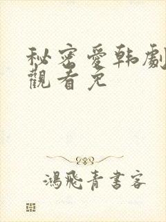 秘密爱韩剧在线观看免