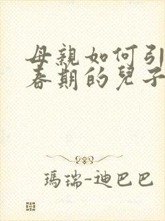 母亲如何引导青春期的儿子封面