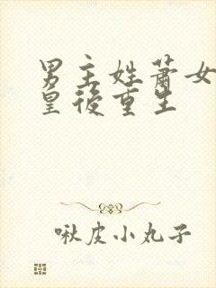 男主姓萧女主是皇后重生封面