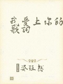 我爱上你的时候歌词封面