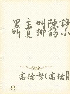 男主叫陈铮女主叫夏柳的小说