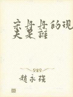 宋丹丹的现任丈夫是谁