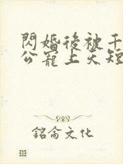 闪婚后被千亿老公宠上天短剧免费观看大结局