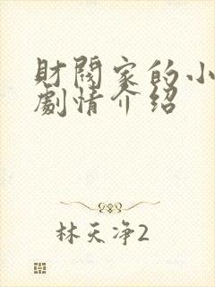 财阀家的小儿子剧情介绍