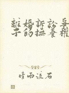 离婚诉讼争夺孩子的抚养权