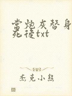 当炮灰替身的我死后txt