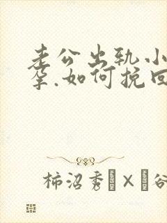 老公出轨小三怀孕.如何挽回封面