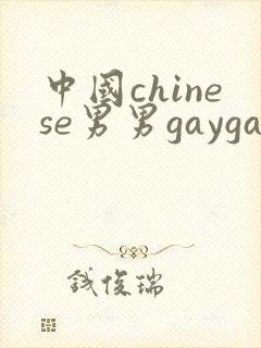 中国chinese男男gaygayvideo
