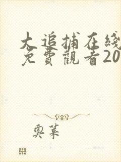 大追捕在线完整免费观看20集封面