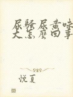 尿骚尿黄味特别大怎么回事