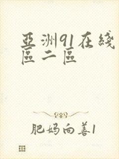 亚洲91在线一区二区