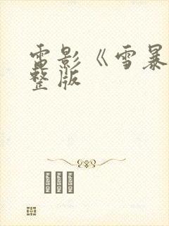 电影《雪暴》完整版封面